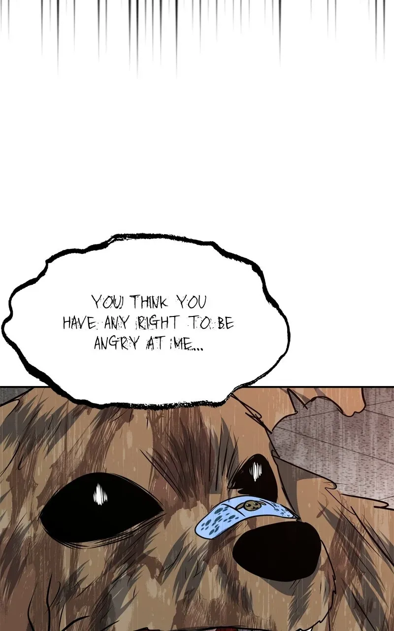 Why You Shouldn