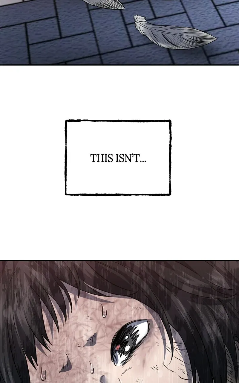 Why You Shouldn