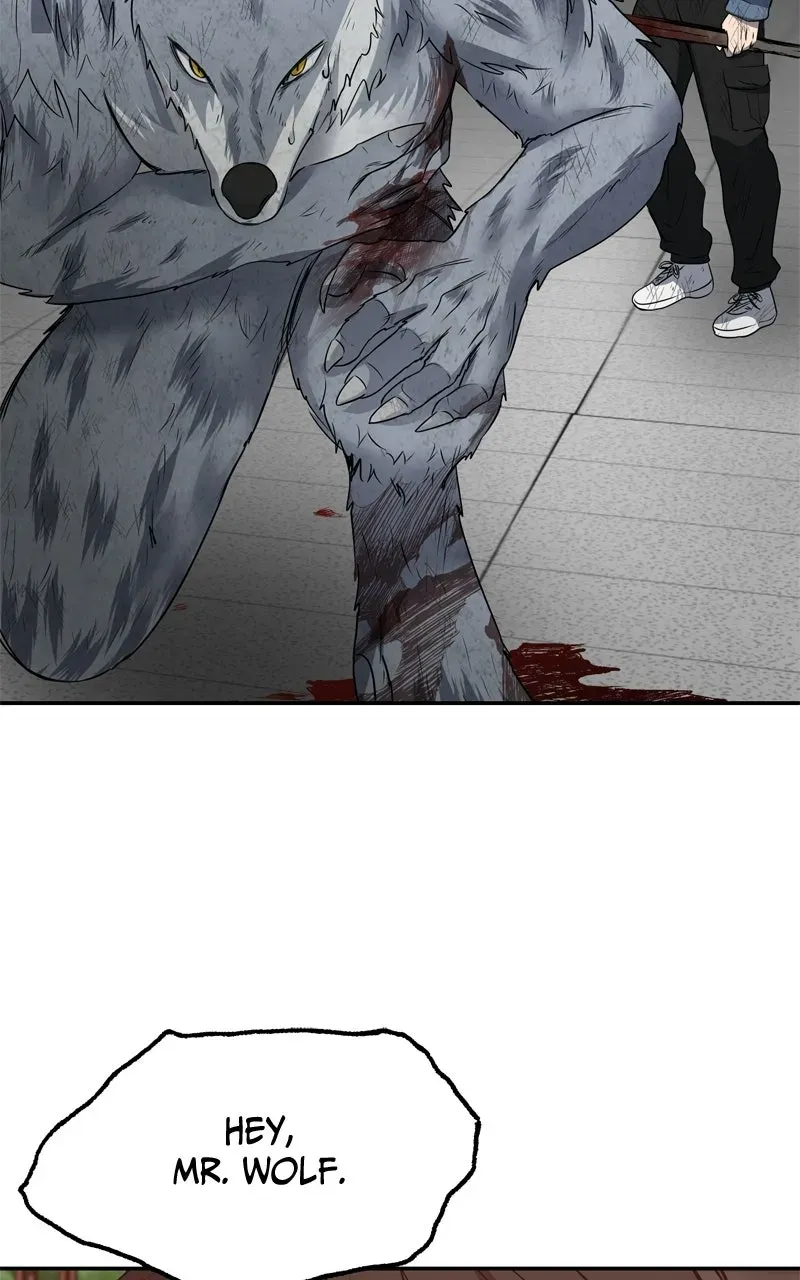 Why You Shouldn