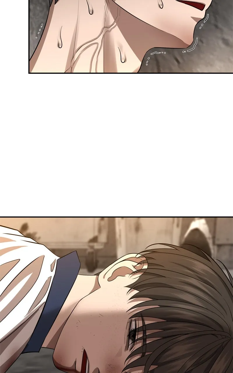Why You Shouldn