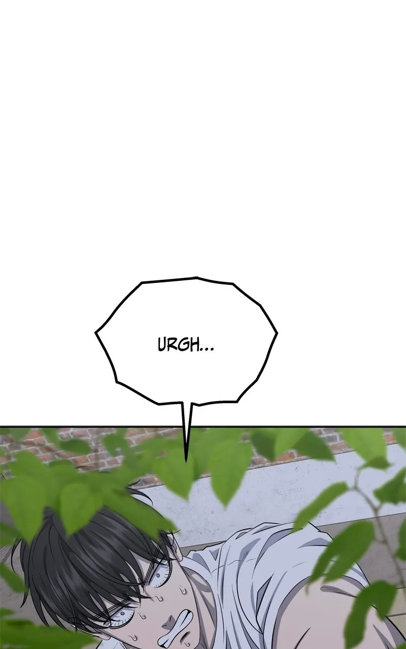 Why You Shouldn