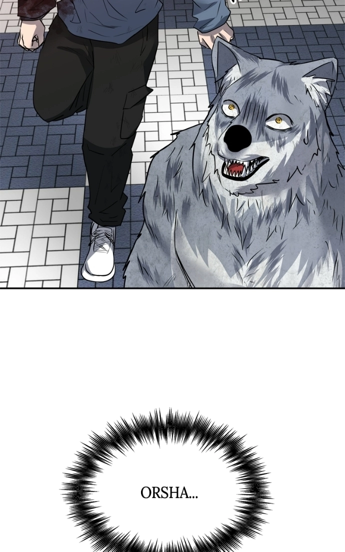 Why You Shouldn