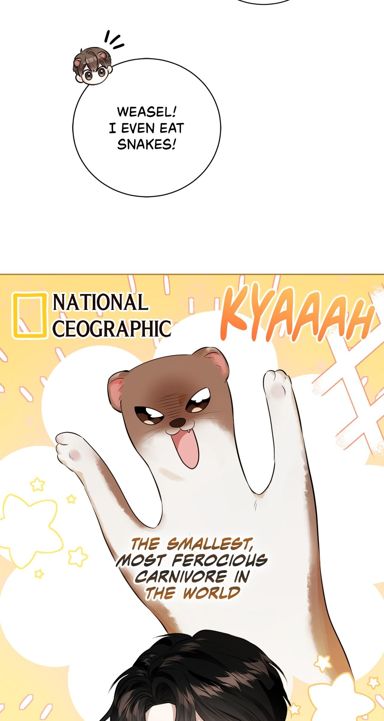 Wild Beast Warning Chapter 1.3 page 53 - 
