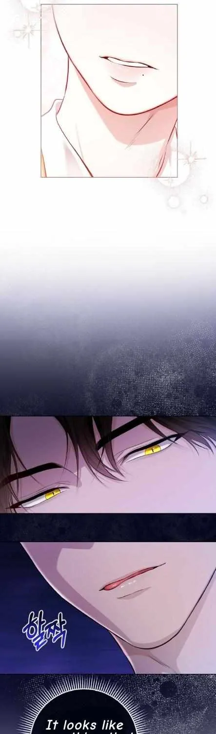 Wild Beast Warning Chapter 1 page 19 - 