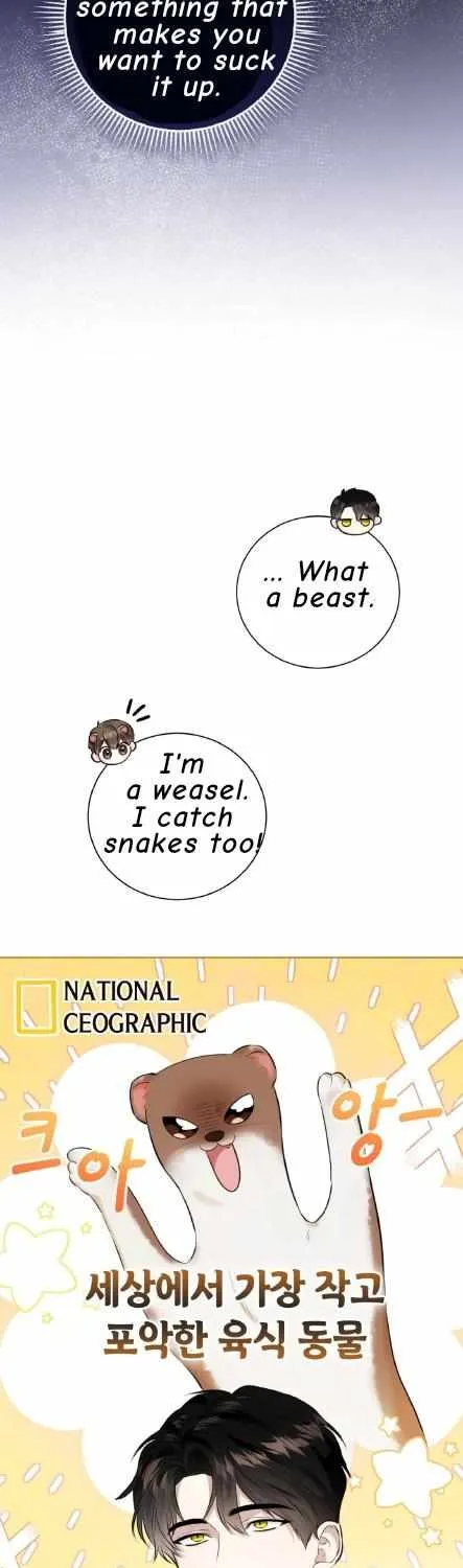 Wild Beast Warning Chapter 1 page 20 - 