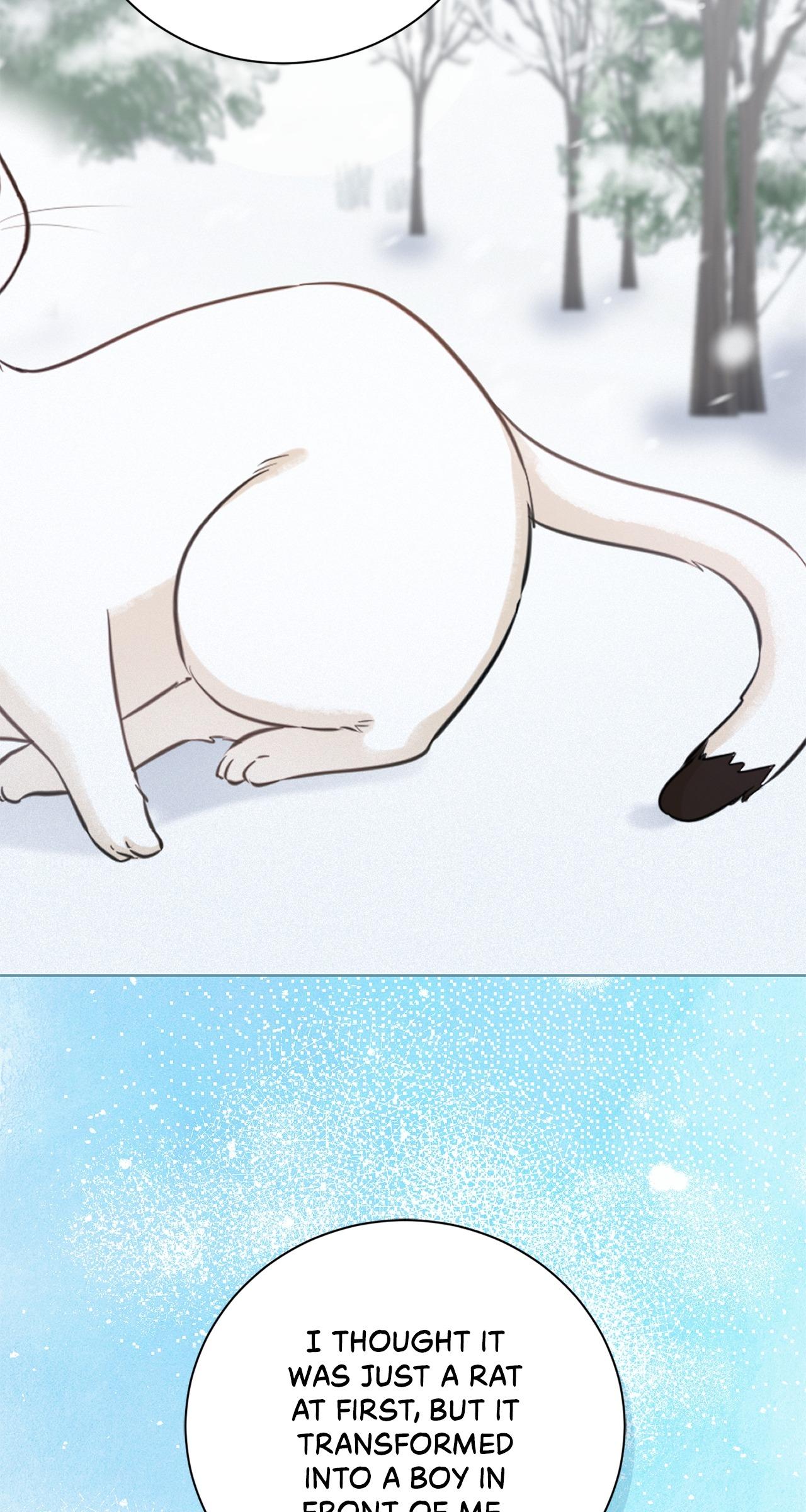 Wild Beast Warning Chapter 16.1 page 82 - 
