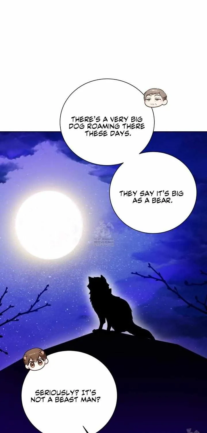 Wild Beast Warning Chapter 2 page 28 - 