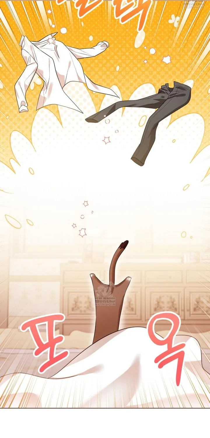 Wild Beast Warning Chapter 2 page 40 - 