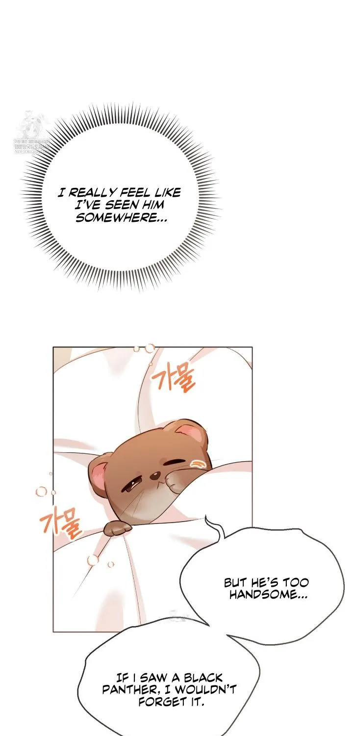 Wild Beast Warning Chapter 2 page 48 - 