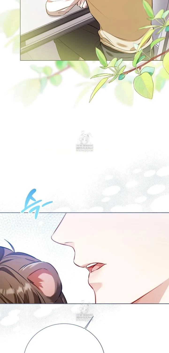 Wild Beast Warning Chapter 2 page 78 - 