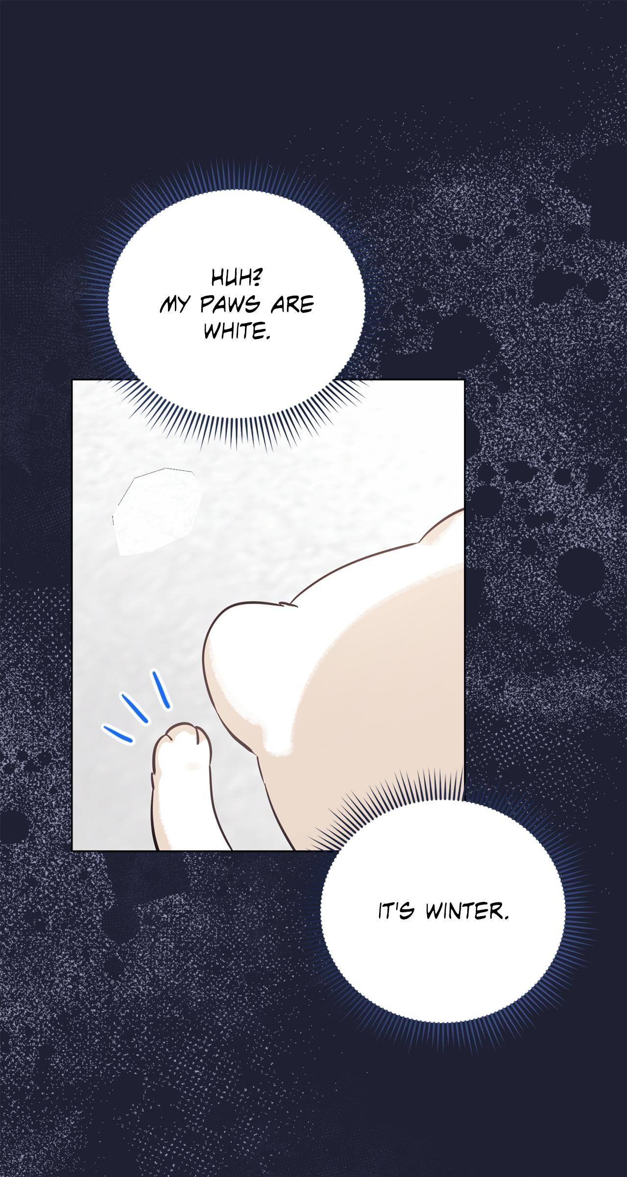 Wild Beast Warning Chapter 4.1 page 60 - 