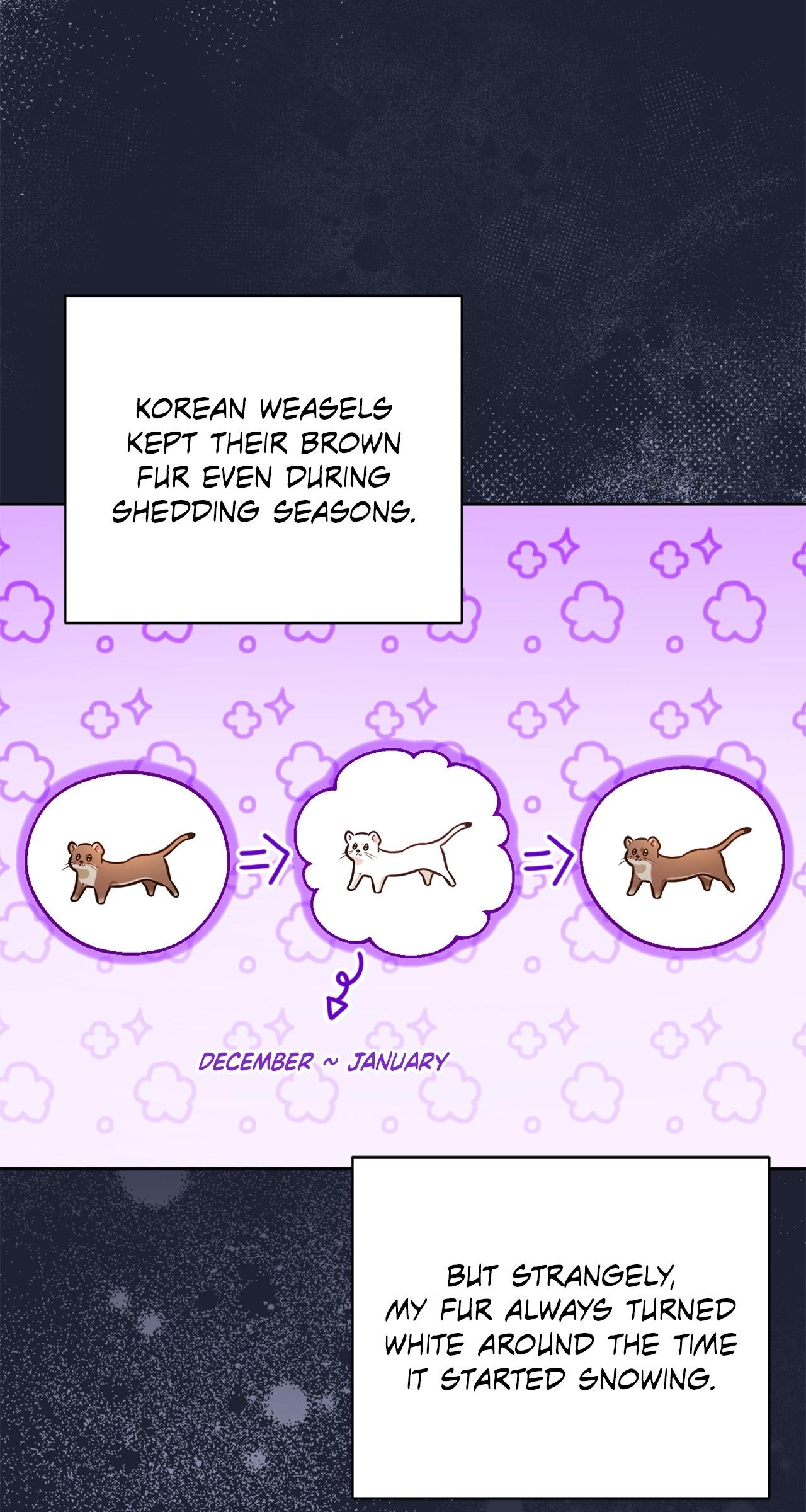Wild Beast Warning Chapter 4.1 page 61 - 