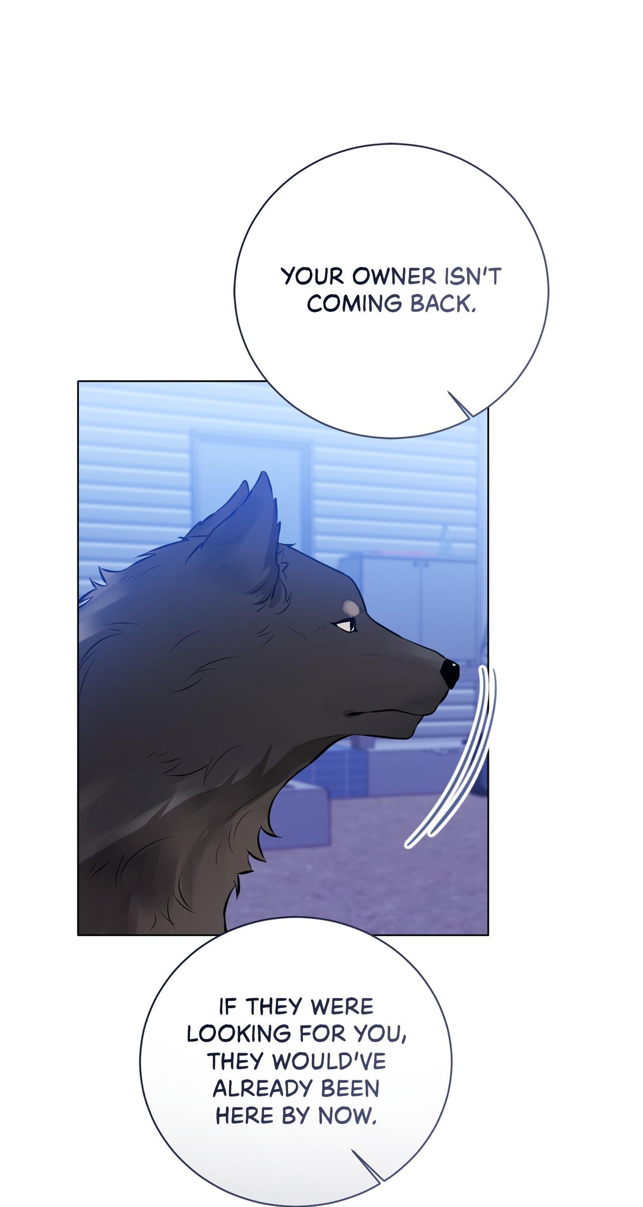 Wild Beast Warning Chapter 5.1 page 45 - 