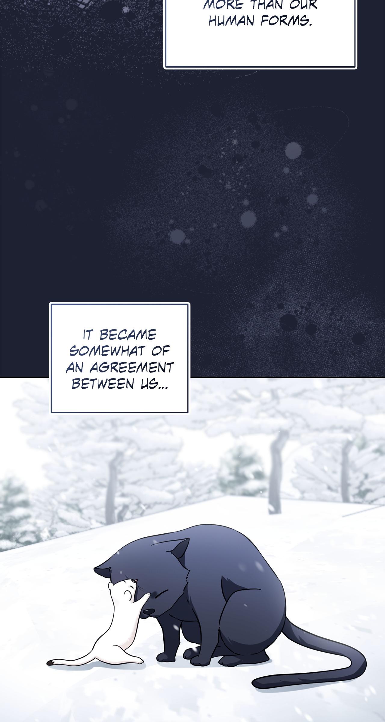 Wild Beast Warning Chapter 5.1 page 9 - 