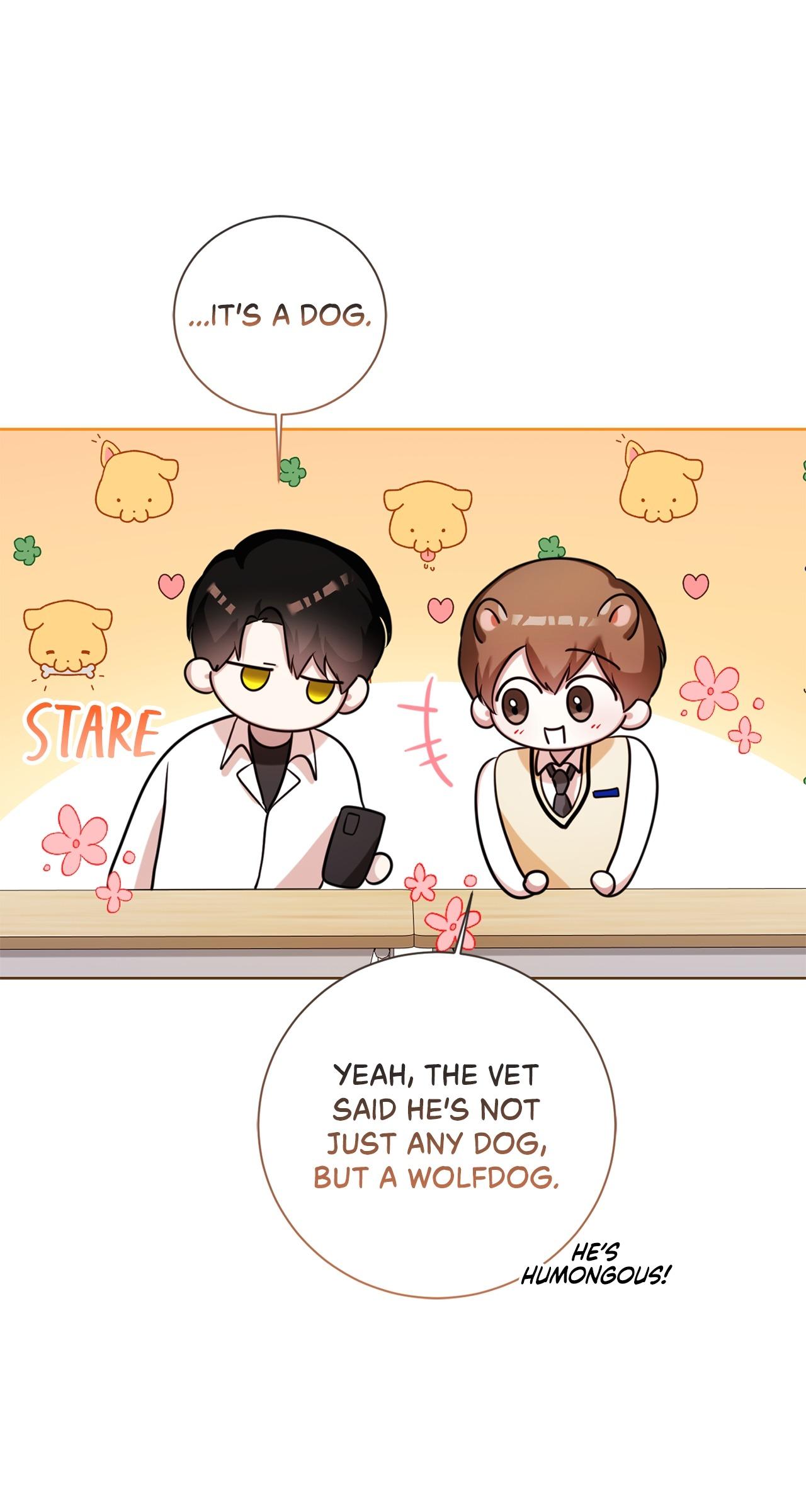 Wild Beast Warning Chapter 8.1 page 75 - 