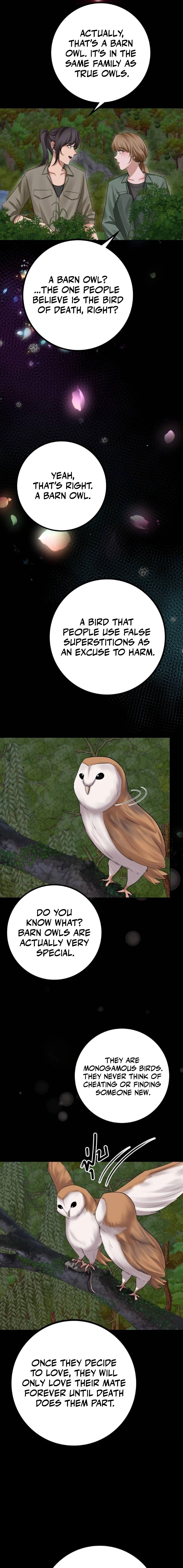 Wild Protectress Chapter 10 page 11 - 