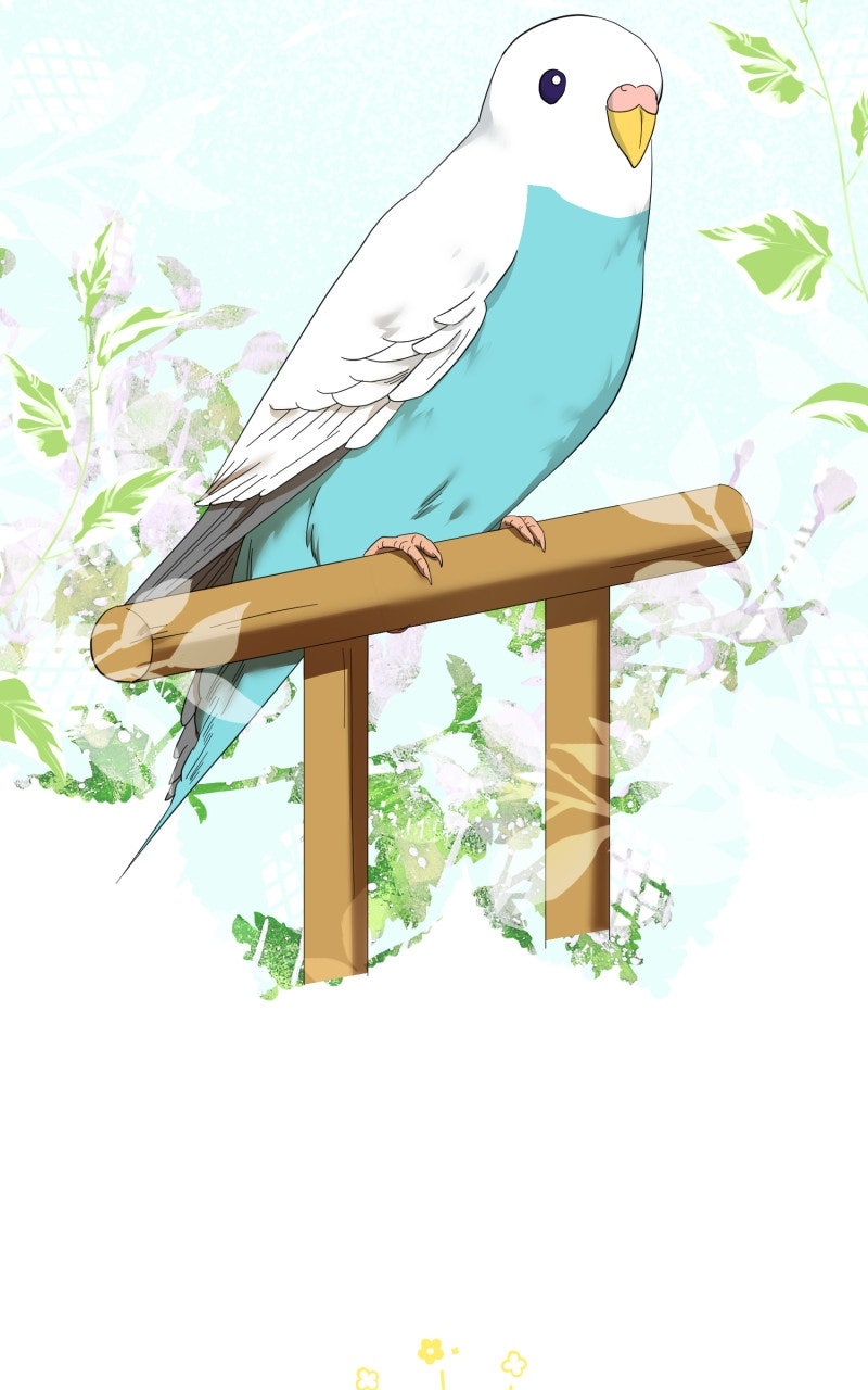 Will My Doting HusbandLove Me Again? Episode 10 page 2 - 