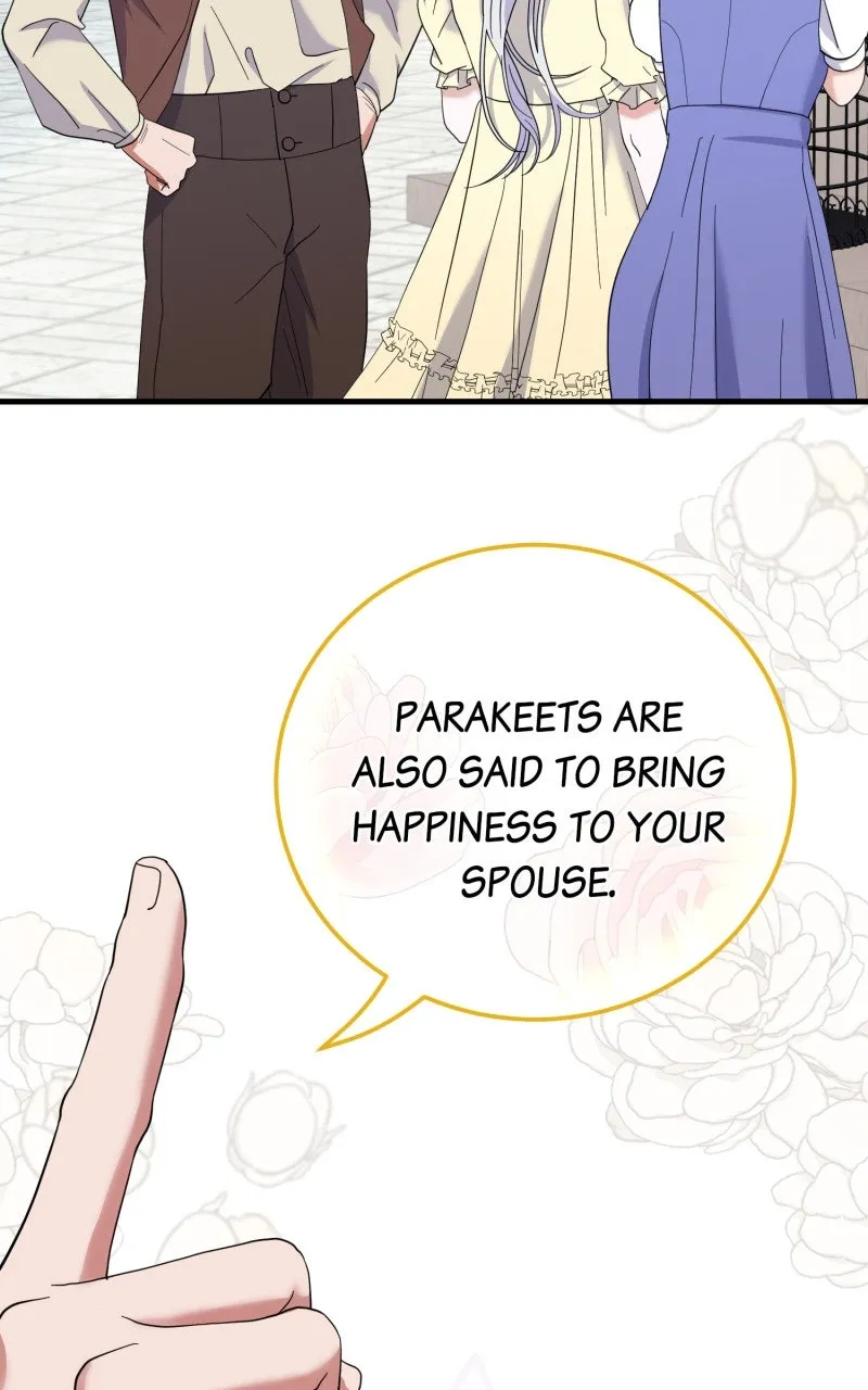 Will My Doting HusbandLove Me Again? Chapter 10 page 5 - 