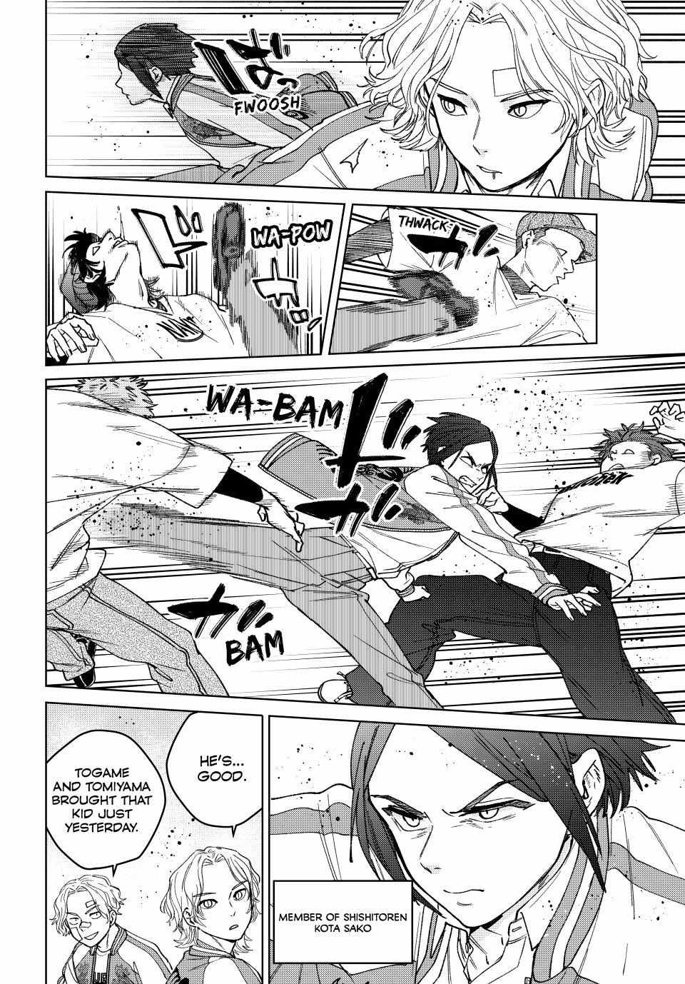 Wind Breaker (Japan) Chapter 172.5 page 14 - 