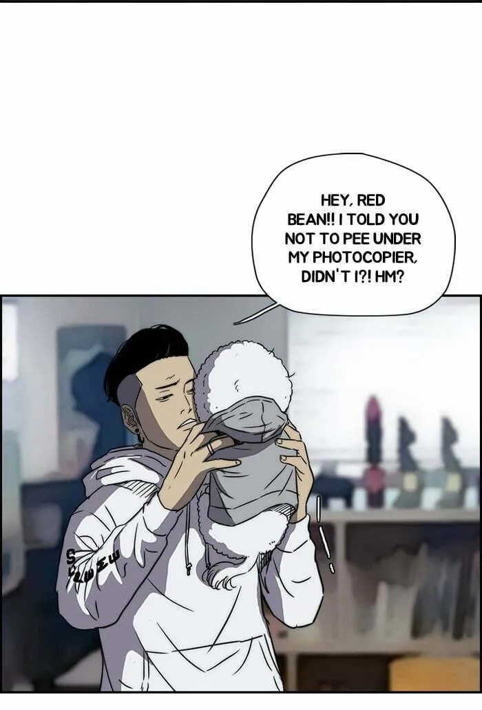 Wind Breaker Chapter 136 page 41 - 