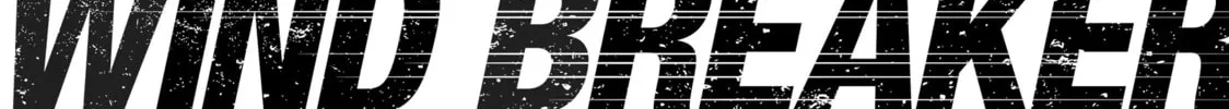 Wind Breaker Chapter 144.5 page 2 - 
