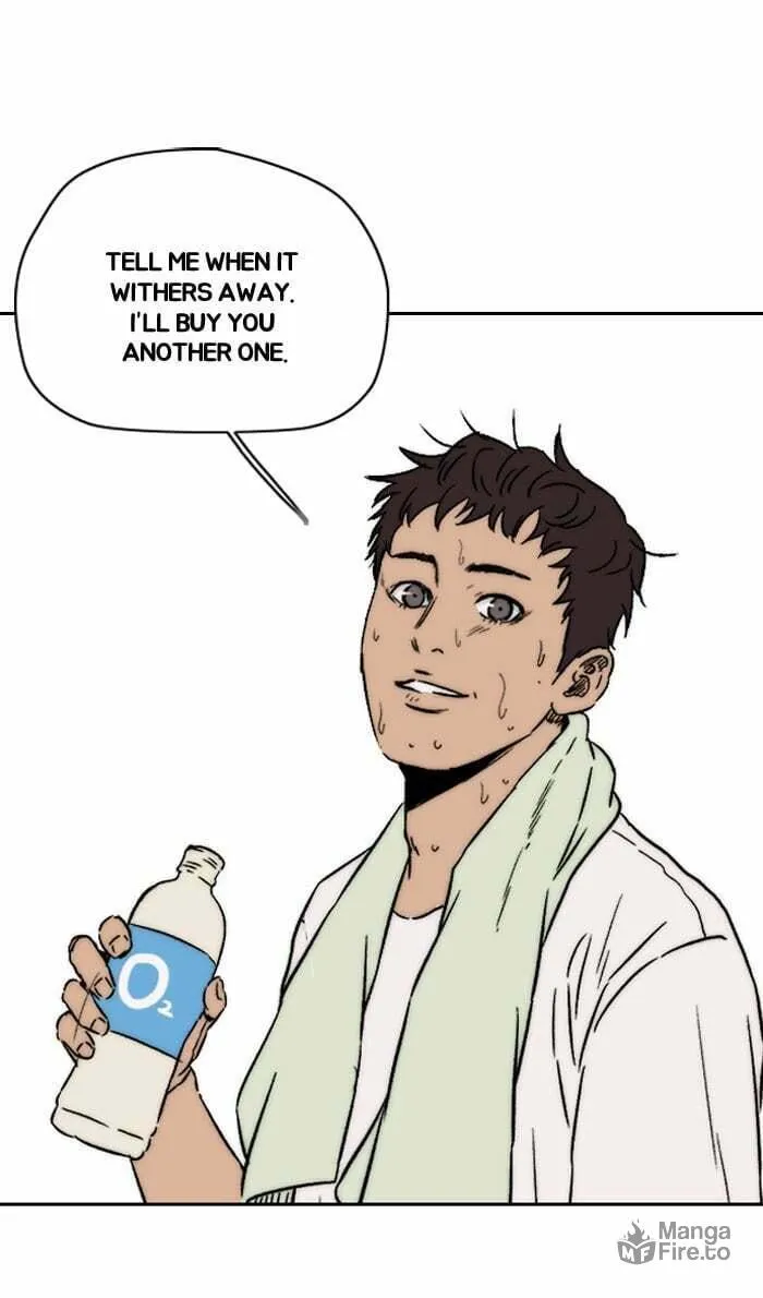 Wind Breaker Chapter 219 page 57 - 