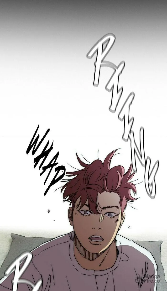 Wind Breaker Chapter 221 page 5 - 