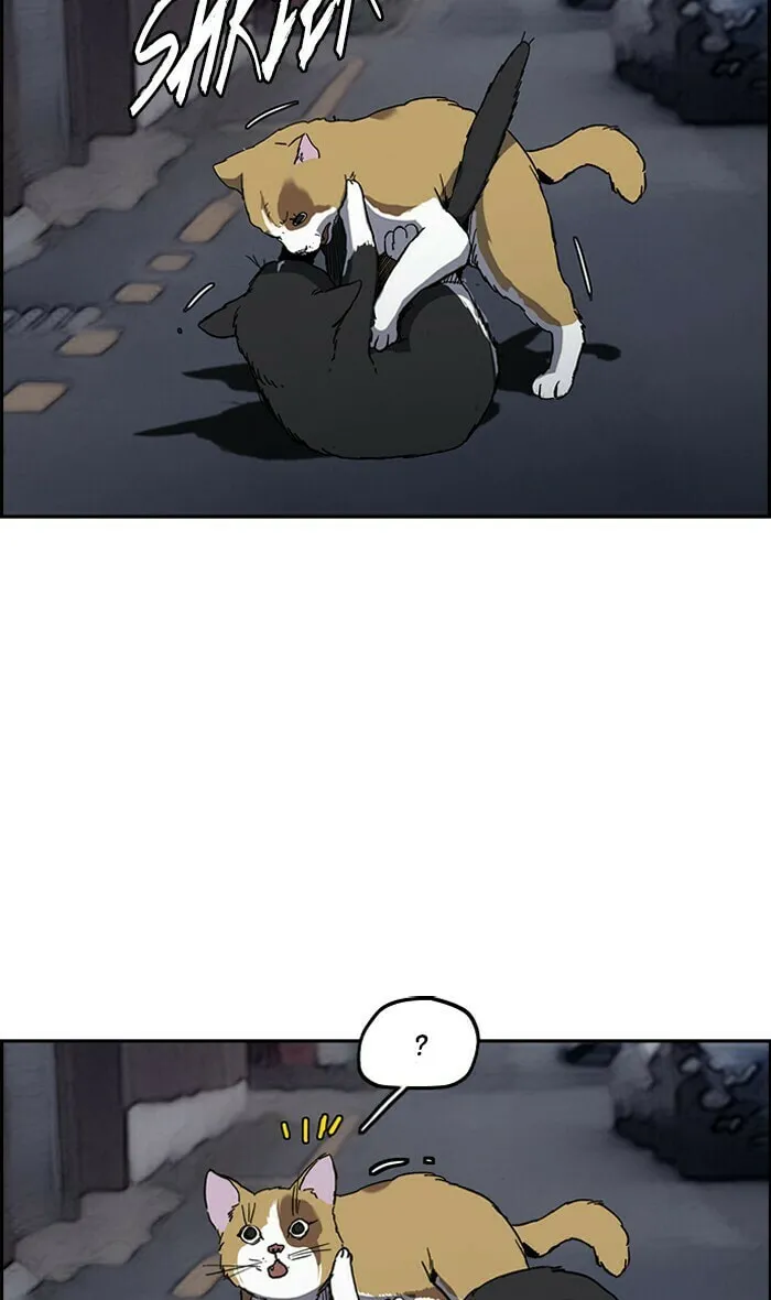 Wind Breaker Chapter 239 page 2 - 