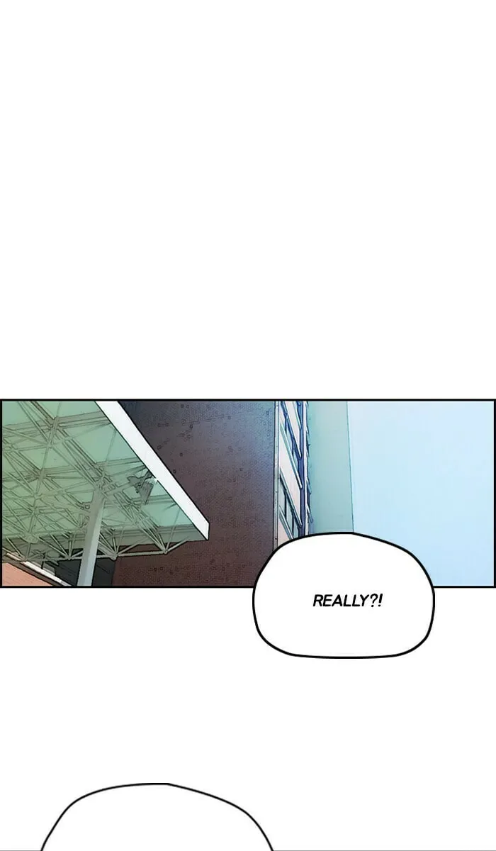 Wind Breaker Chapter 239 page 43 - 