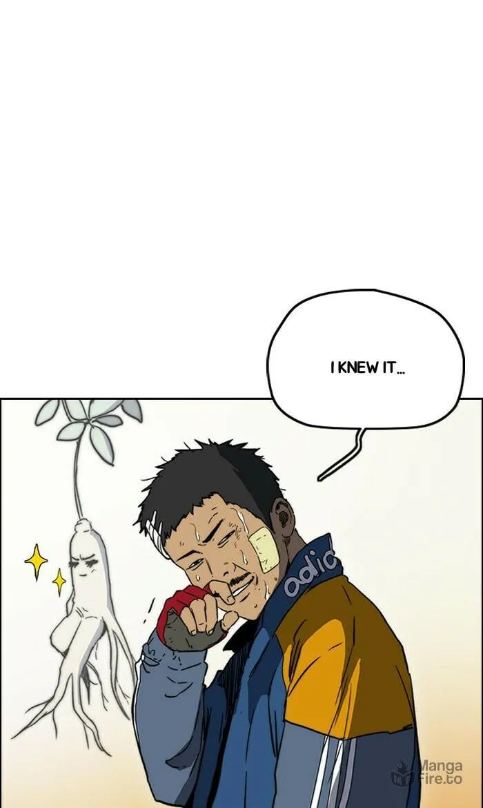 Wind Breaker Chapter 240 page 21 - 