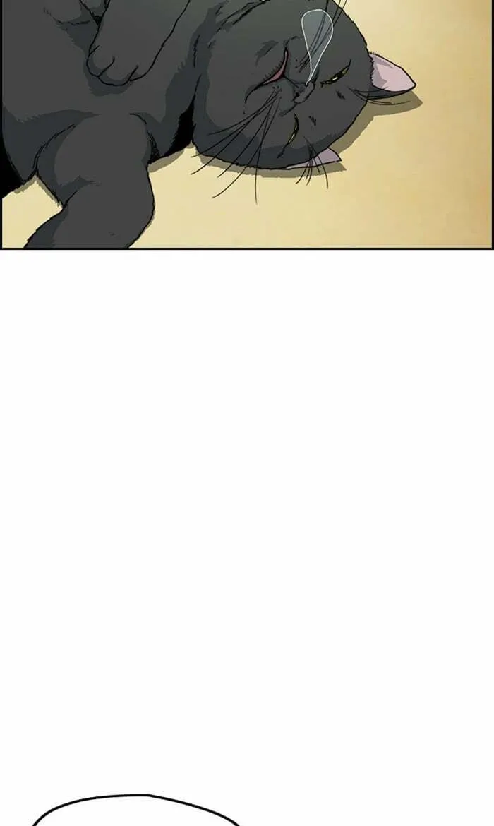 Wind Breaker Chapter 250 page 11 - 