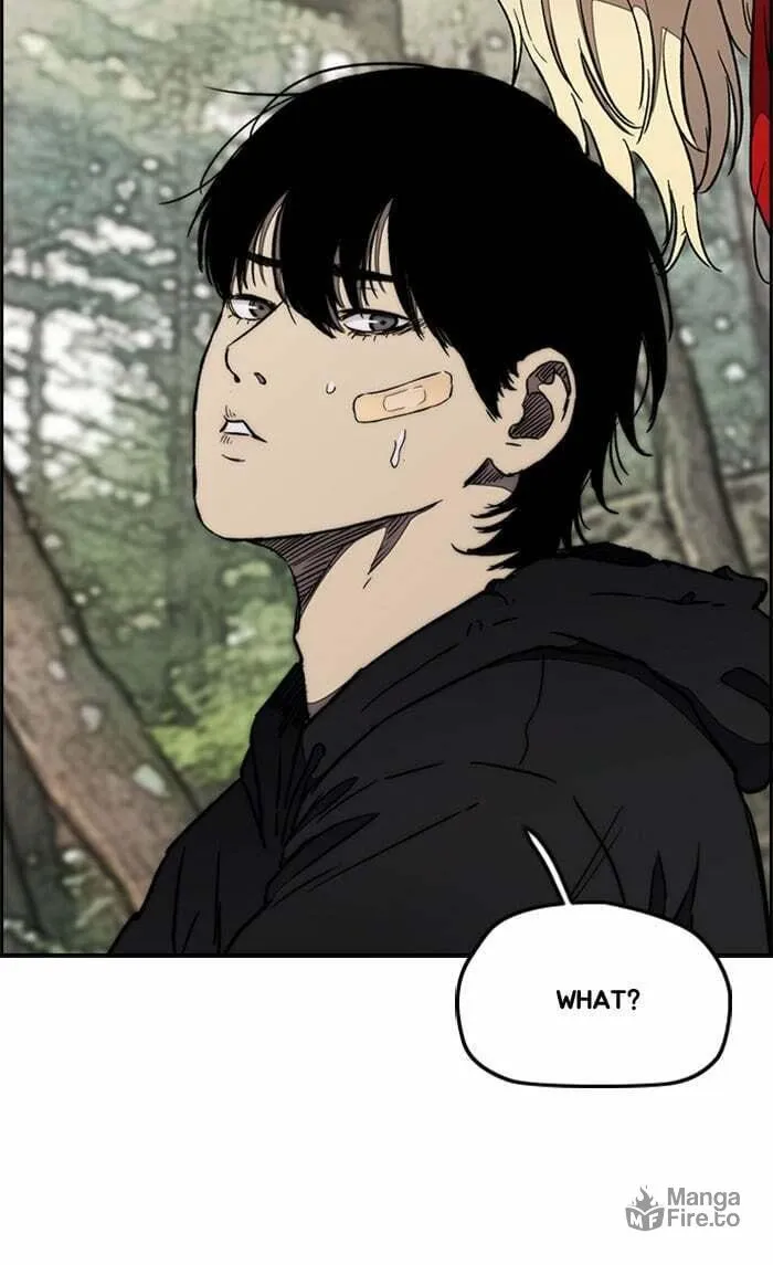 Wind Breaker Chapter 264 page 40 - 