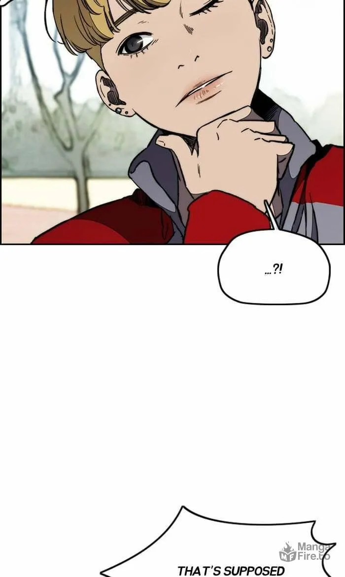 Wind Breaker Chapter 268 page 5 - 