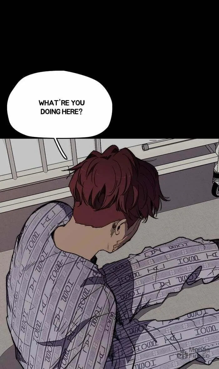 Wind Breaker Chapter 270 page 81 - 