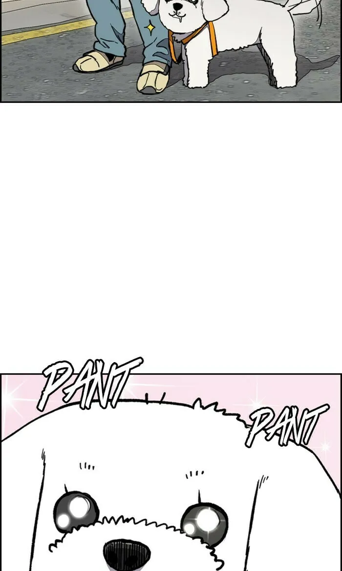 Wind Breaker Chapter 278 page 52 - 