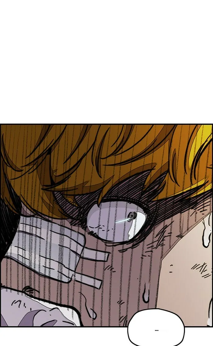 Wind Breaker Chapter 288 page 49 - 