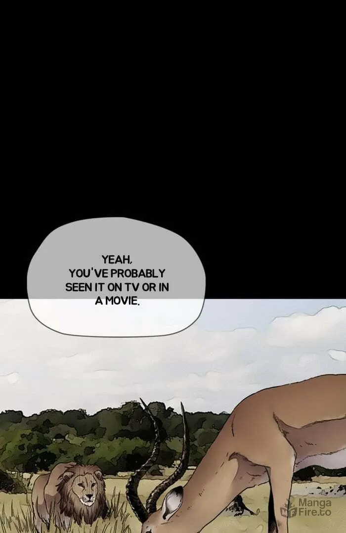 Wind Breaker Chapter 294 page 80 - 