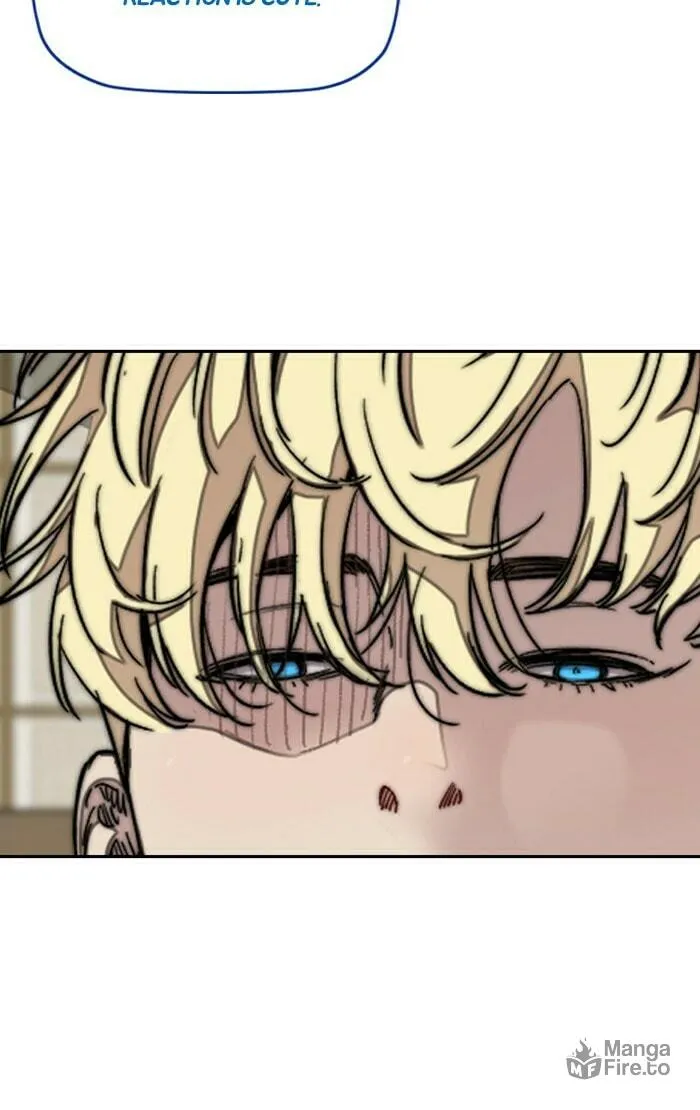 Wind Breaker Chapter 299 page 66 - 