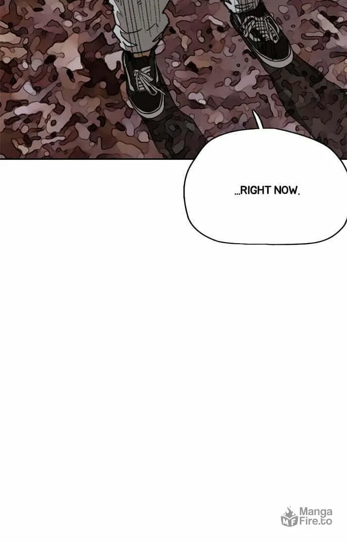Wind Breaker Chapter 317 page 80 - 
