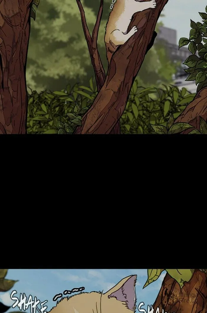 Wind Breaker Chapter 318 page 35 - 