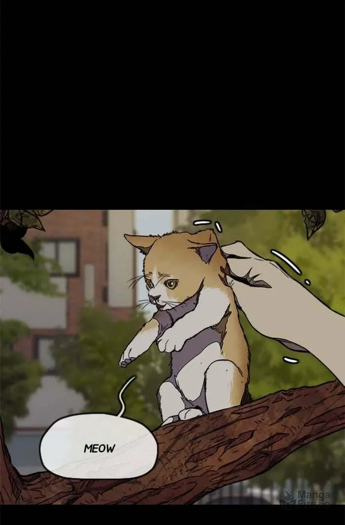 Wind Breaker Chapter 318 page 66 - 