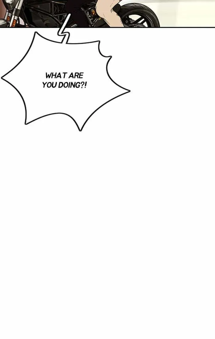 Wind Breaker Chapter 331 page 37 - 