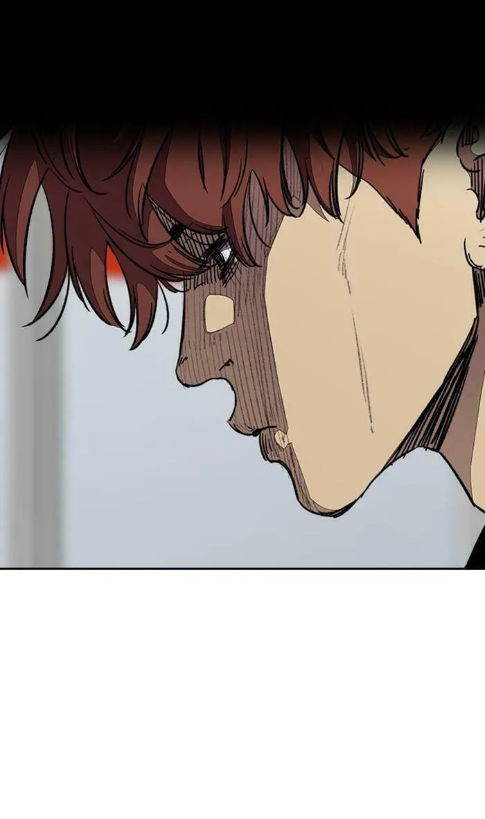 Wind Breaker Chapter 351 page 14 - 