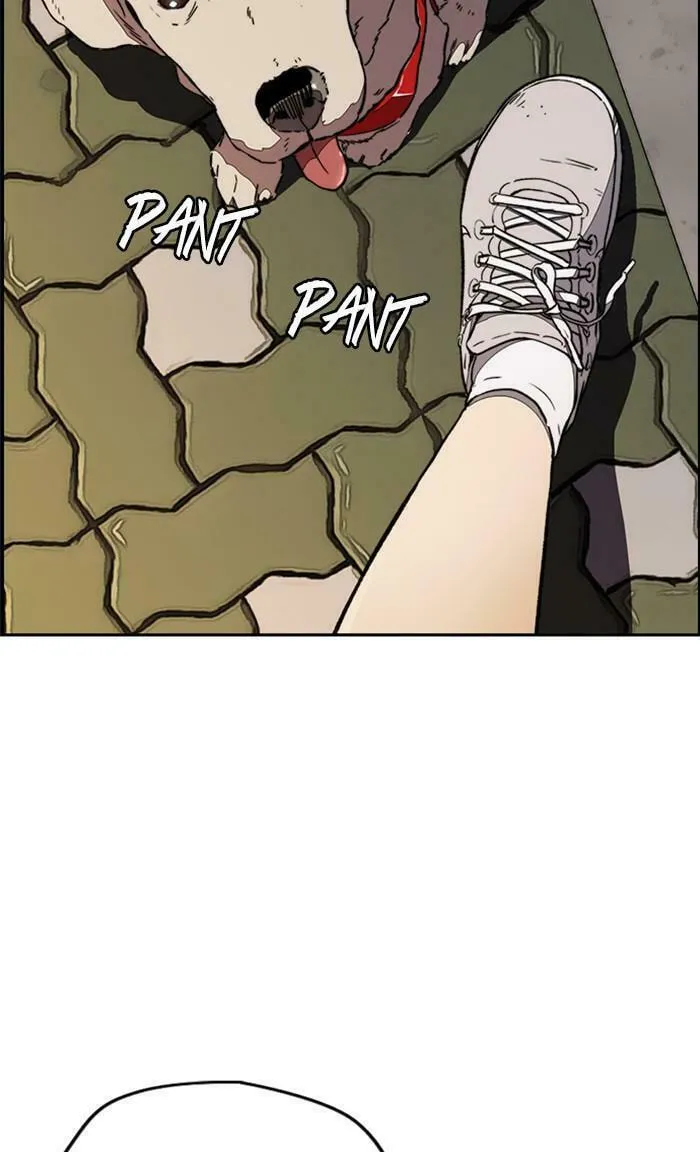 Wind Breaker Chapter 356 page 64 - 