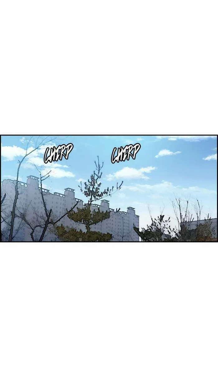 Wind Breaker Chapter 361 page 43 - 