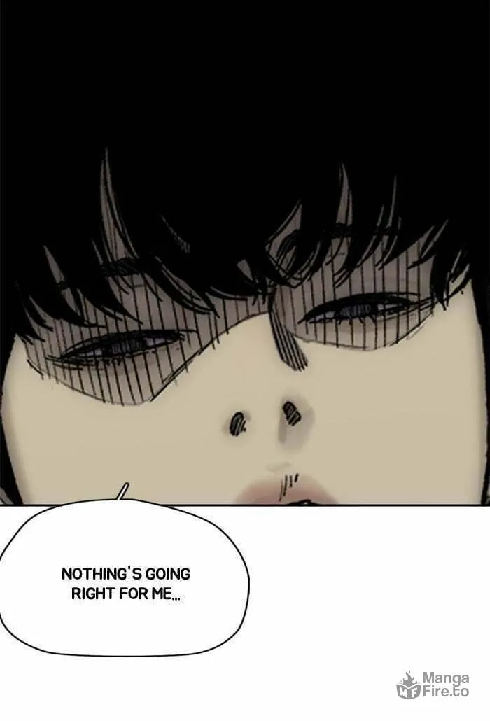 Wind Breaker Chapter 372 page 75 - 