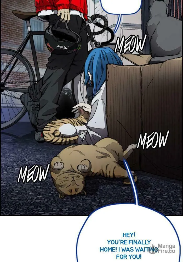 Wind Breaker Chapter 382 page 147 - 