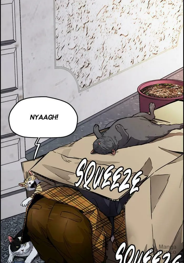 Wind Breaker Chapter 382 page 186 - 