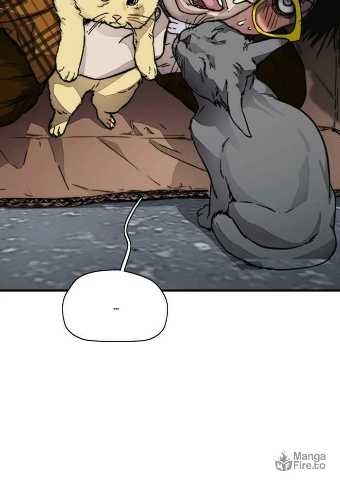 Wind Breaker Chapter 383 page 15 - 