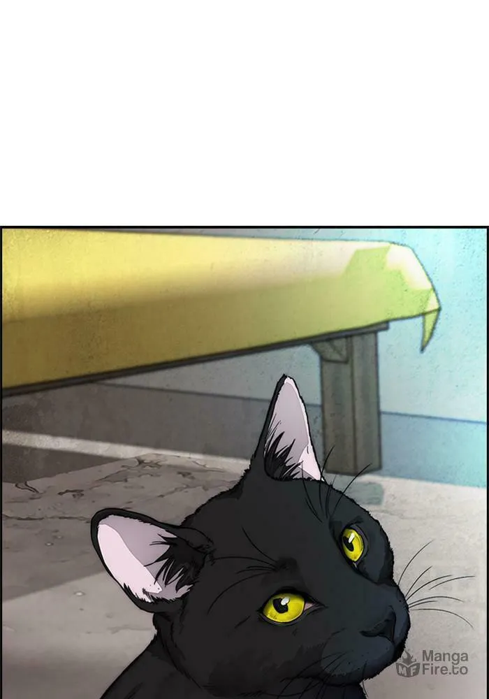 Wind Breaker Chapter 386 page 205 - 